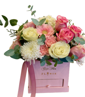 Caja pink mixta 021